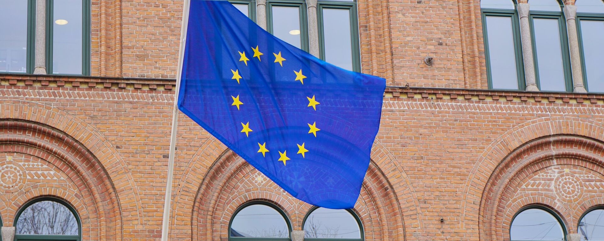 Флаг Евросоюза - Sputnik Таджикистан, 1920, 04.01.2026