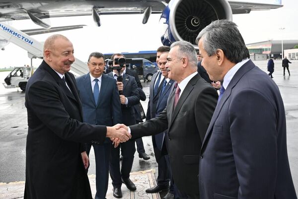 Алиева в аэропорту встречали официальные лица Таджикистана. - Sputnik Таджикистан
