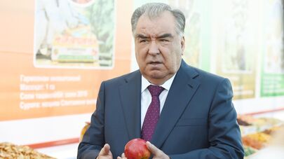 Президент Таджикистана Эмомали Рахмон во время рабочего визита в Хатлонскую область 