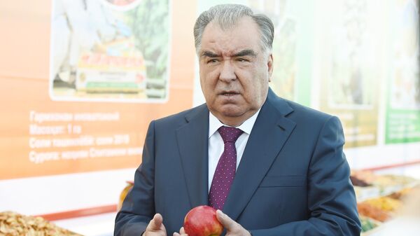 Президент Таджикистана Эмомали Рахмон во время рабочего визита в Хатлонскую область  - Sputnik Тоҷикистон