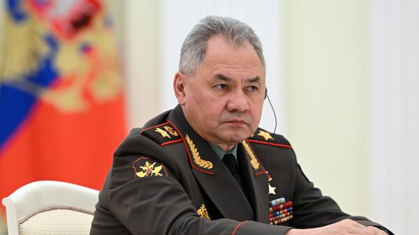  Министр обороны РФ Сергей Шойгу - Sputnik Таджикистан
