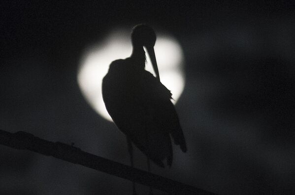 В результате Луна становится темнее обычного, но все еще остается освещенной. - Sputnik Таджикистан
