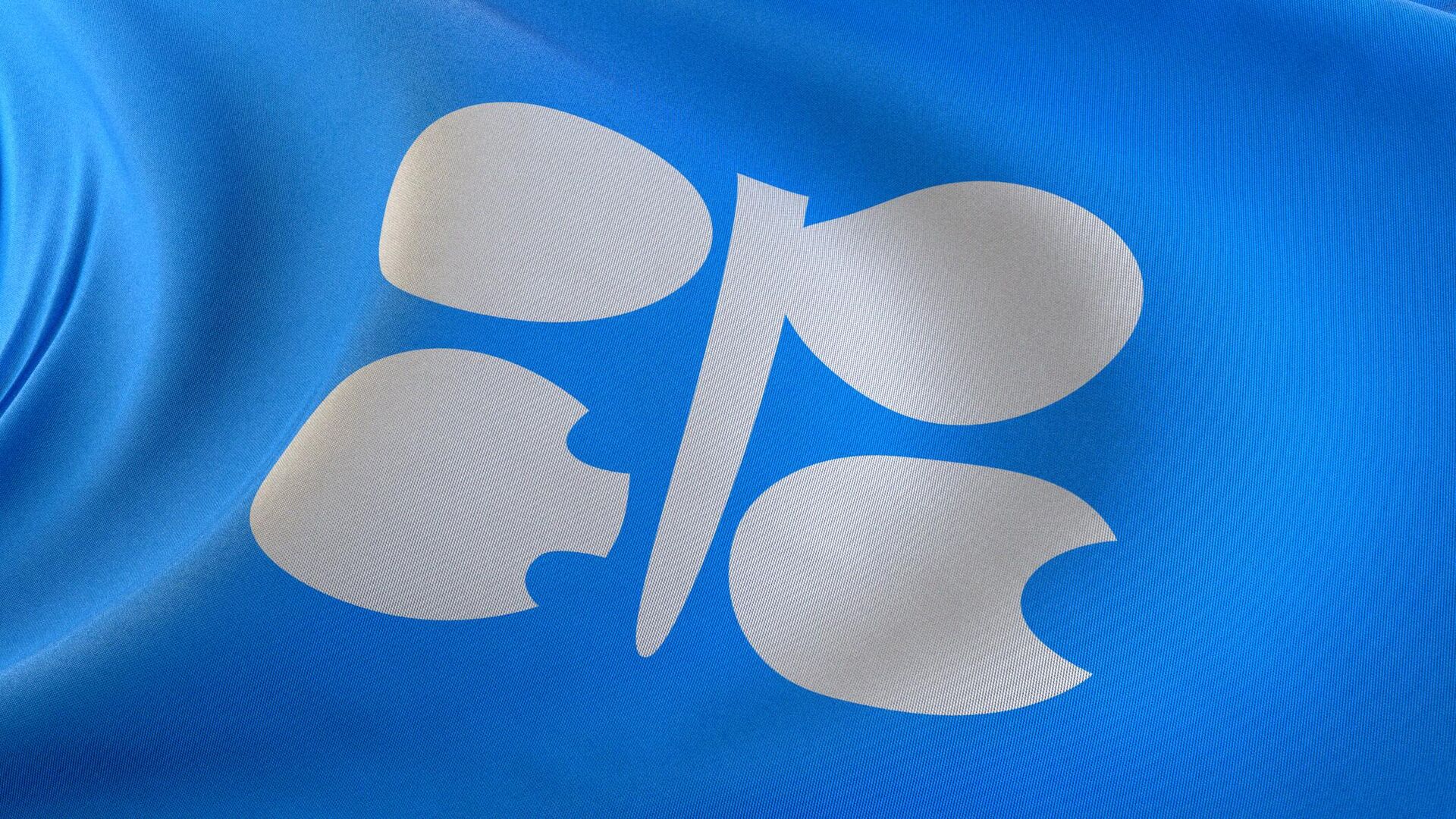 Флаг организации стран экспортеров нефти (ОПЕК) - Sputnik Таджикистан, 1920, 12.05.2023
