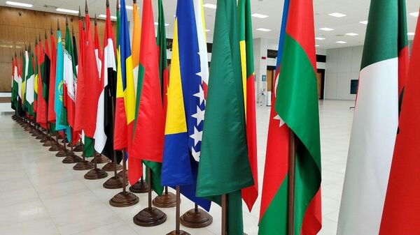 Флаги стран на форуме Россия - Исламский мир: KazanForum - Sputnik Тоҷикистон