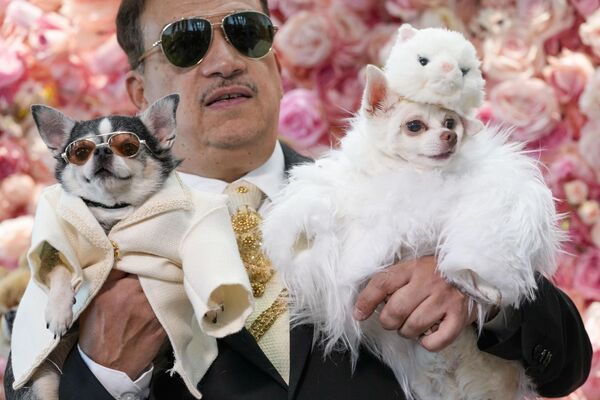 Американский модельер Энтони Рубио провел первый бал Pet Gala для животных.   - Sputnik Таджикистан