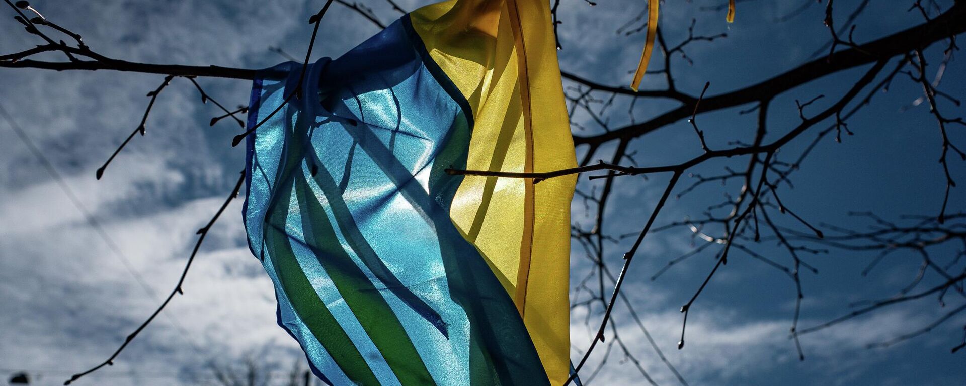 Флаг Украины - Sputnik Тоҷикистон, 1920, 15.11.2025
