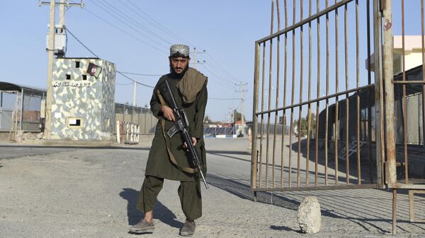 Боец талибов* на границе Афганистана и Ирана - Sputnik Тоҷикистон