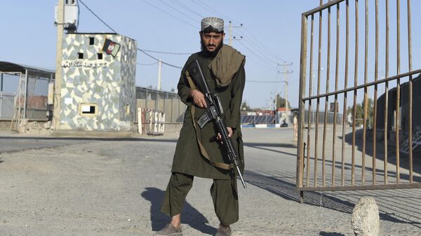Боец талибов* на границе Афганистана и Ирана  - Sputnik Тоҷикистон