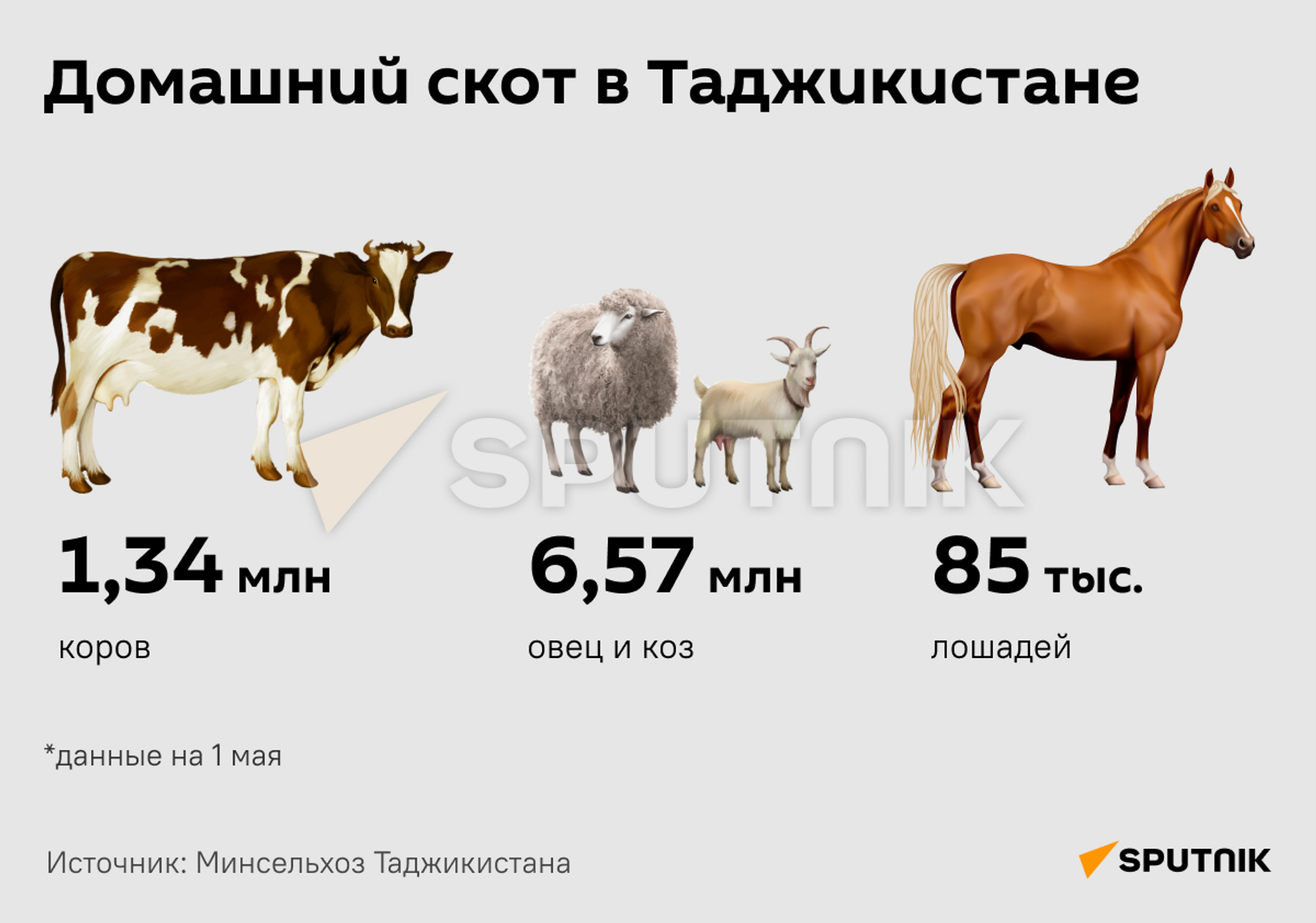 Домашний скот в Таджикистане - Sputnik Таджикистан, 1920, 06.06.2023