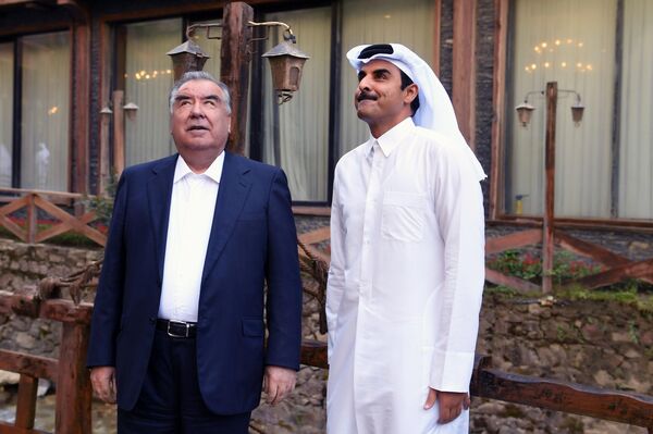 Эмомали Рахмон и эмир Катара наслаждаются природой республики. - Sputnik Таджикистан
