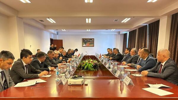 Встреча рабочих групп по делимитации и демаркации границы Таджикистана и Кыргызстана - Sputnik Таджикистан