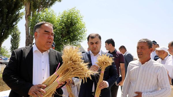 Раджаббой Ахмадзода озкакомился с ходом сбора урожая в Спитамене - Sputnik Таджикистан