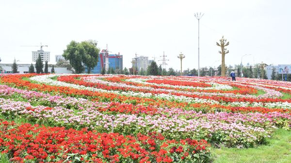 Цветы в Душанбе - Sputnik Таджикистан