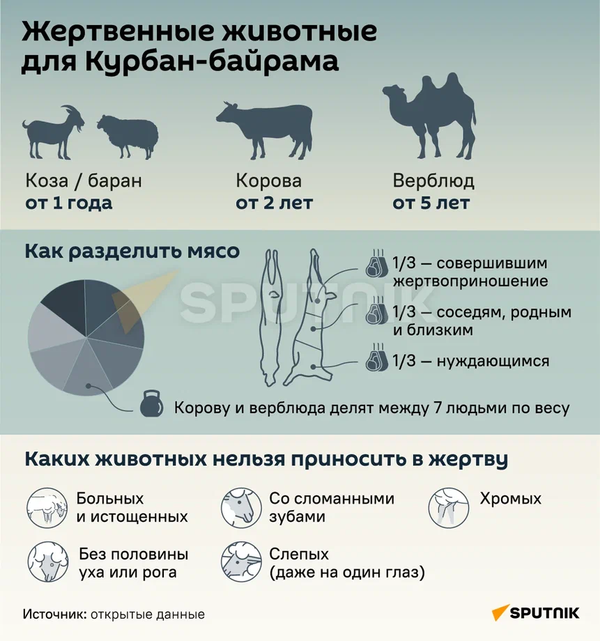 Коза или баран: жертвенные животные для Курбан-байрама - Sputnik Таджикистан