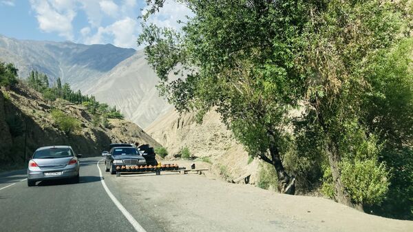 Торговля на дороге Душанбе - Худжанд - Sputnik Таджикистан