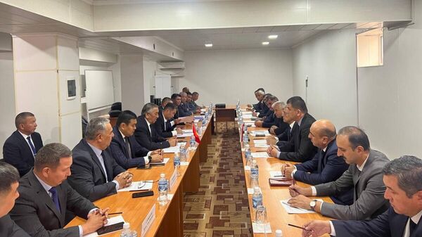 Таджикистан и Кыргызстан провели встречу демаркационных групп - Sputnik Таджикистан