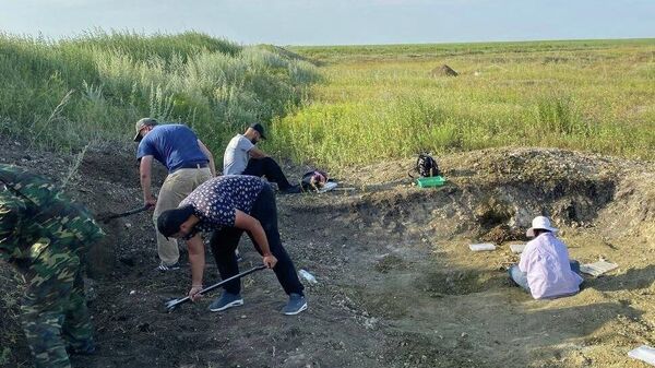 Таджикские ученые участвуют в палеонтологических исследованиях в Оренбурге - Sputnik Таджикистан