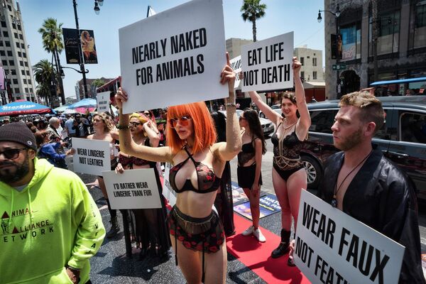 Активисты по защите прав животных и климату протестуют на Голливудской аллее славы в Лос-Анджелесе. - Sputnik Таджикистан