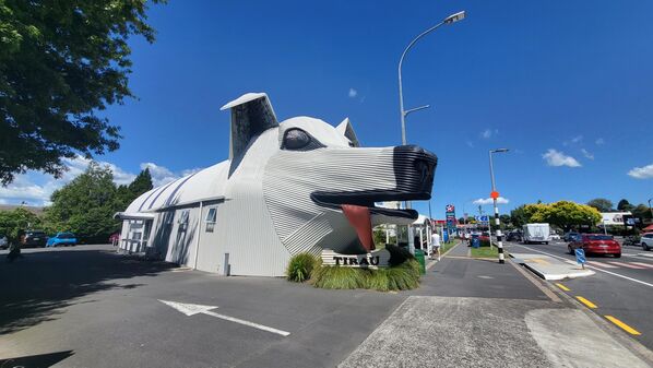 Дом-овчарка. Здание в виде собаки построено в новозеландском городке Тирау в 1998 году. - Sputnik Таджикистан