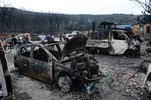 Люди осматривают сгоревшие автомобили после бушующих лесных пожаров в Буире, Алжир Люди осматривают сгоревшие автомобили после бушующих лесных пожаров в Буире, Алжир