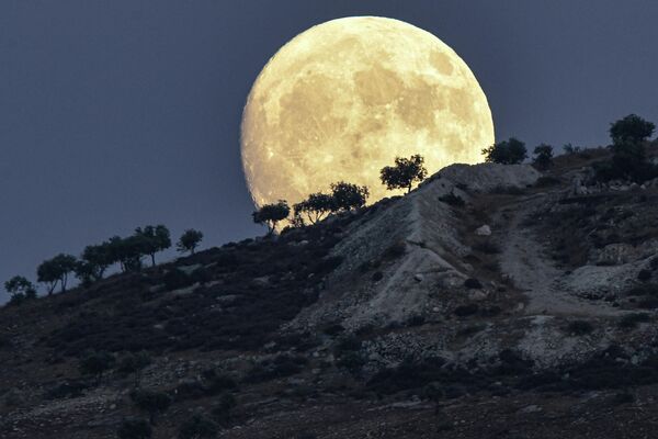 Растущая луна восходит за деревьями на холме в сирийском Джиндайрисе, за день до &quot;осетрового суперлуния&quot;. - Sputnik Таджикистан