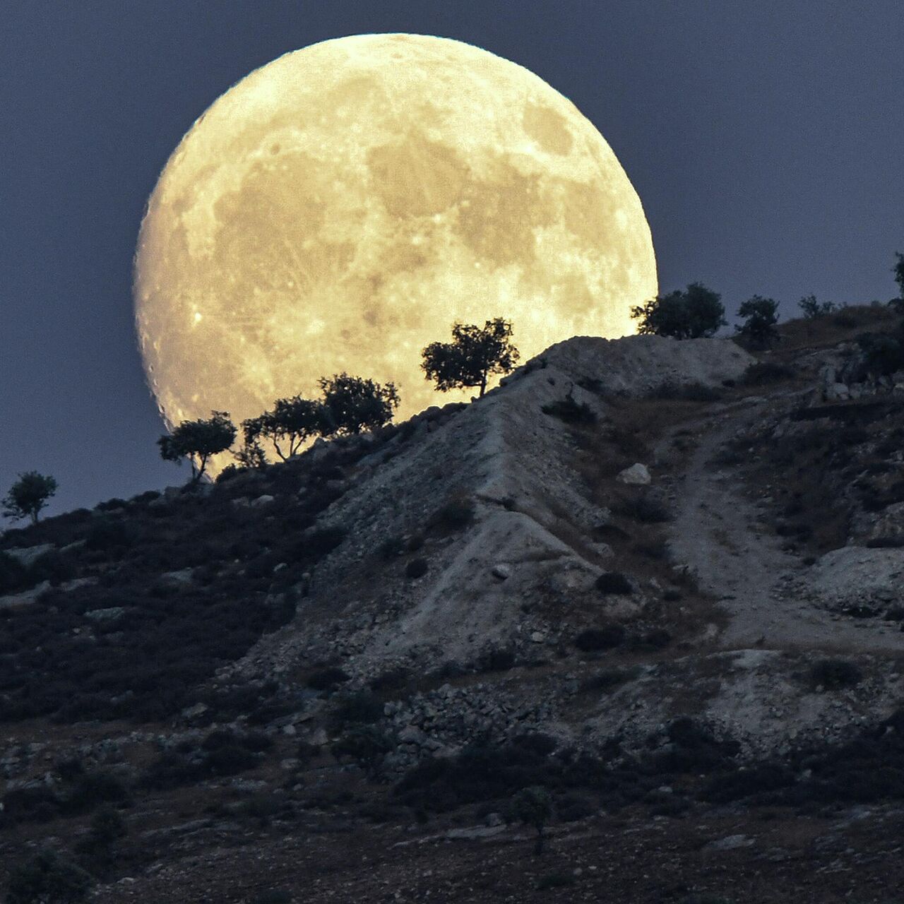 Единственная "голубая" Луна в 2023 году взойдет в ночь на 31 августа