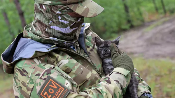 Военнослужащий одного из подразделений тылового обеспечения в зоне СВО - Sputnik Тоҷикистон