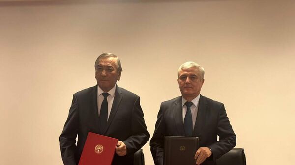 Таджикистан и Кыргызстан обсудили вопросы по границе - Sputnik Таджикистан