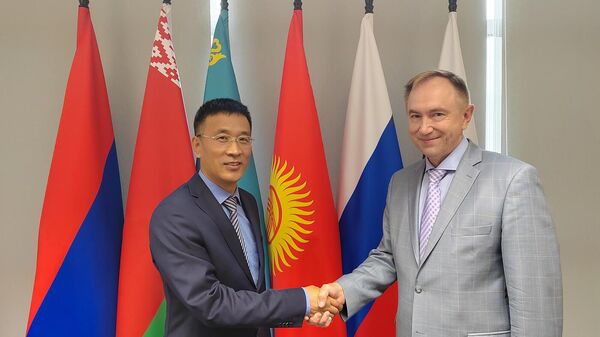 ЕЭК и Посольство КНР обсудили актуальные вопросы развития института электронной торговли - Sputnik Таджикистан