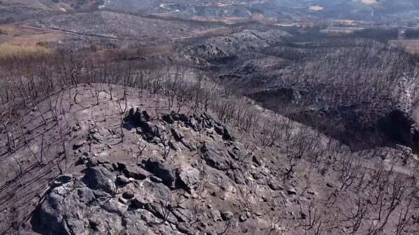 Греция на пепелище: Эврос после сильнейших лесных пожаров ― видео с дрона - Sputnik Тоҷикистон