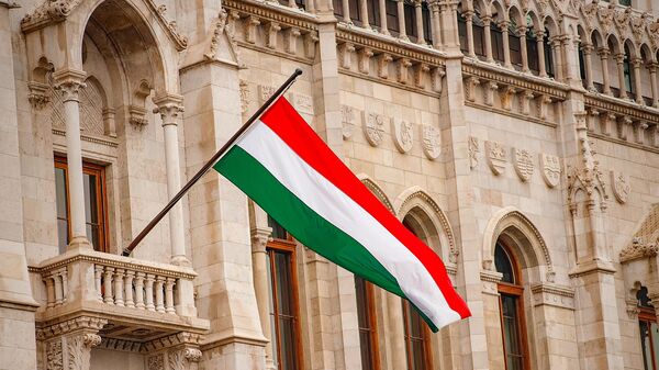 Флаг Венгрии на здании парламента в Будапеште, Венгрия - Sputnik Таджикистан