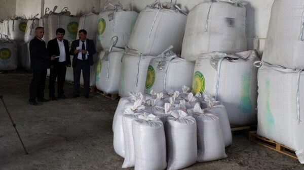 500 тонн высококачественных семян пшеницы и 1250 тонн минеральных удобрений будут переданы семеноводческим хозяйствам Таджикистана. - Sputnik Таджикистан