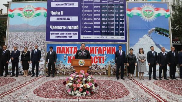 Спитамен стал лидером по сбору хлопка - Sputnik Таджикистан