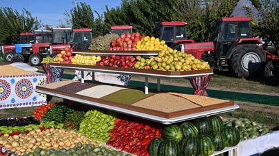 Овощи и фрукты