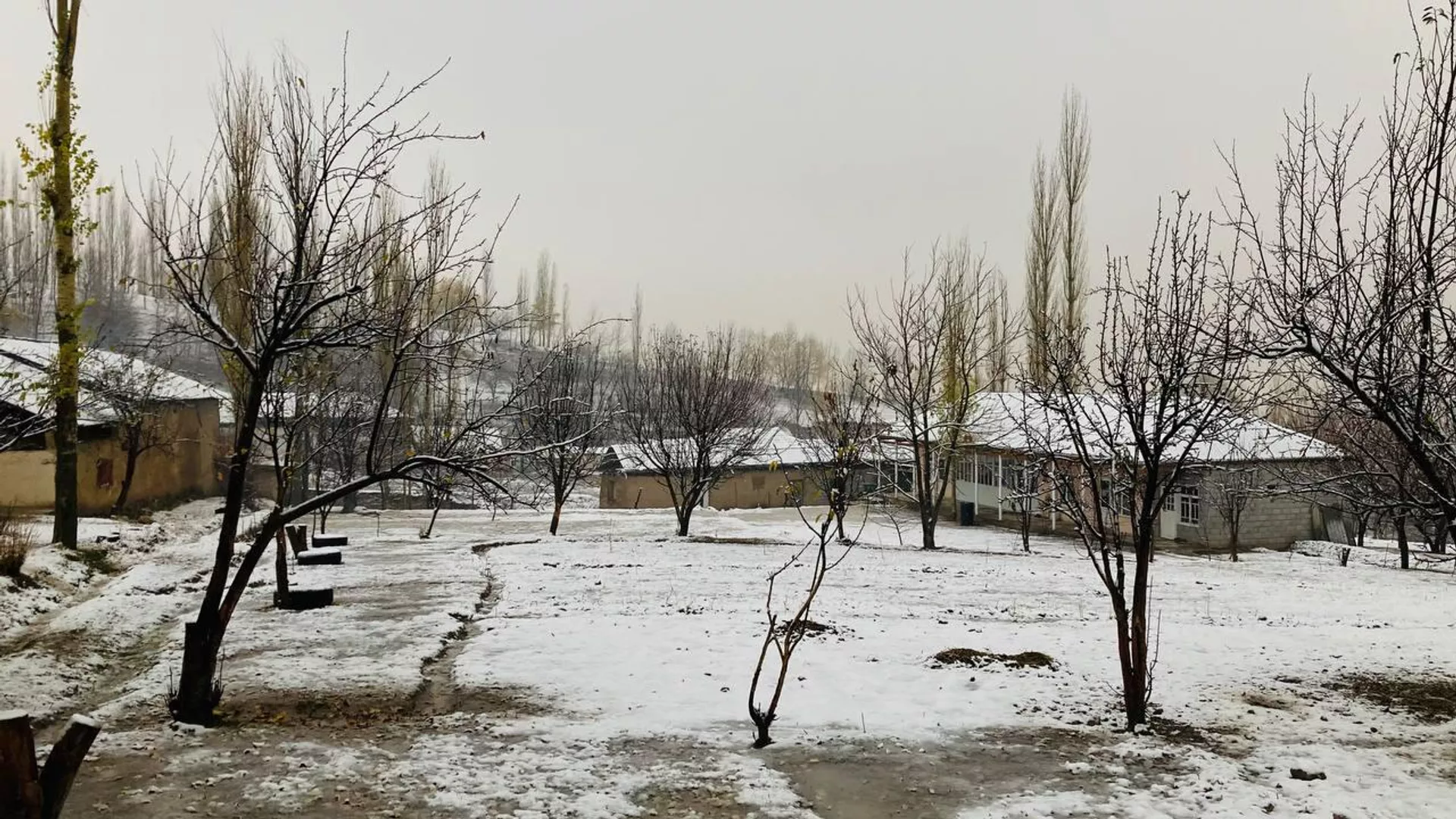 Заснеженные дома и деревья