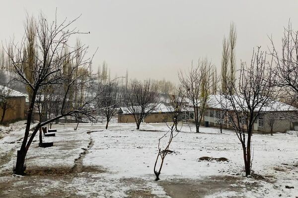 Заснеженные дома и деревья. - Sputnik Таджикистан