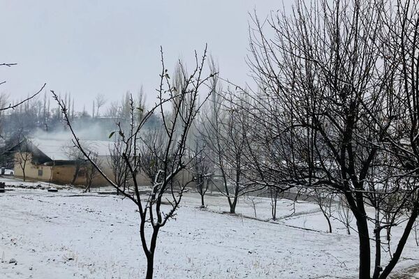 Заснеженные дома и деревья. - Sputnik Таджикистан