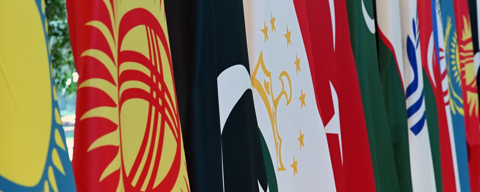 Флаги стран-членов ОЭС (Организации экономического сотрудничества)  - Sputnik Таджикистан, 1920, 26.03.2025