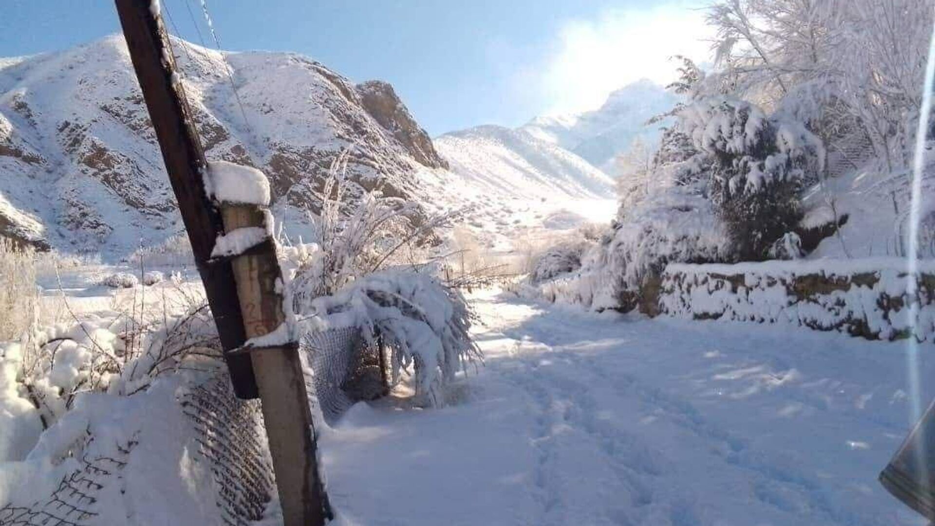 Снегопад в Согде - Sputnik Таджикистан, 1920, 24.11.2023
