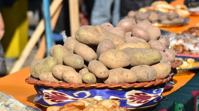Фестиваль картофеля в Душанбе