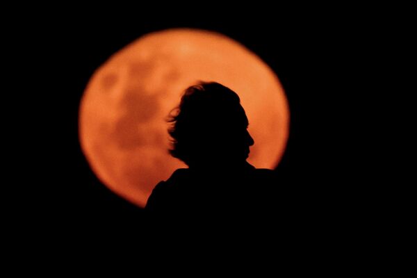 Профиль мужчины вырисовывается на фоне бобровой Луны - Sputnik Тоҷикистон