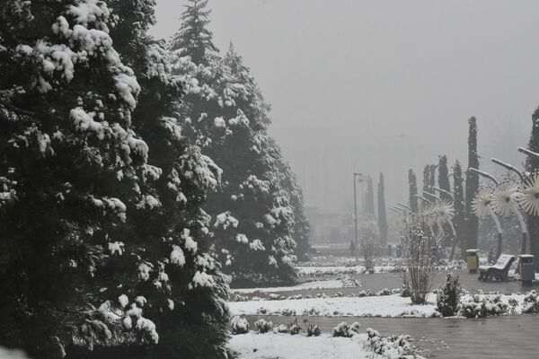 В Душанбе выпал первый снег. - Sputnik Таджикистан