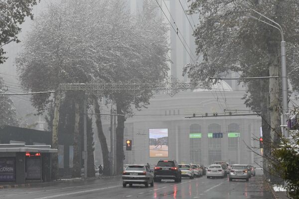 Душанбе покрылся первым снежным покровом. - Sputnik Таджикистан