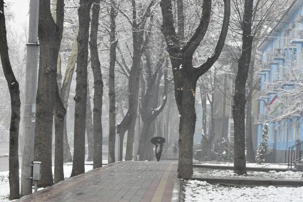 Пока снегопад не сильный, жители спасаются от него под зонтиками. - Sputnik Таджикистан