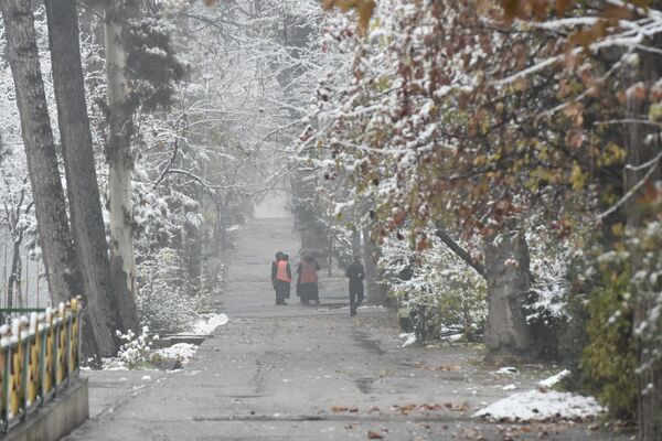 Слой снега покрыл улицы и деревья. - Sputnik Таджикистан