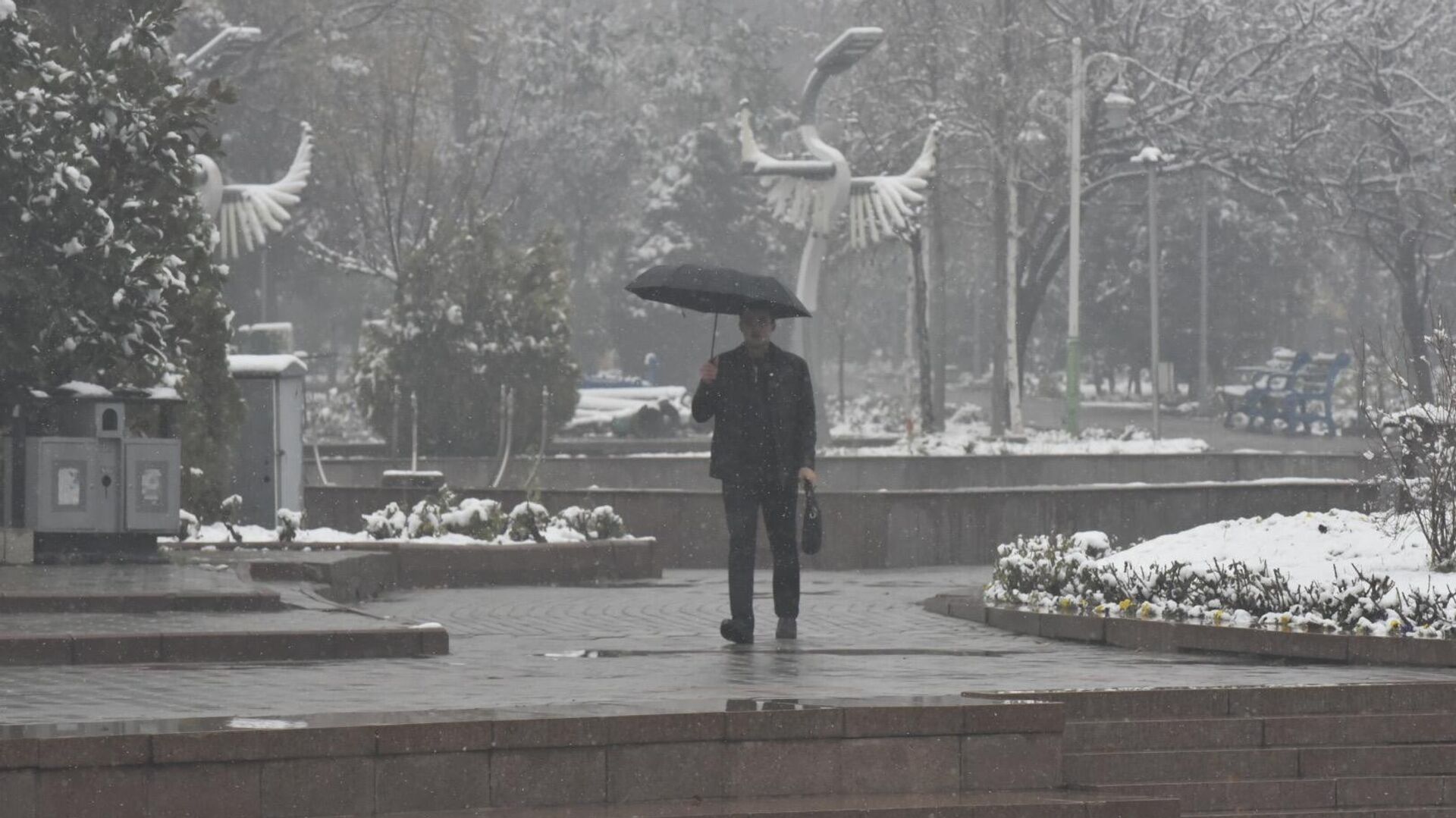 В Душанбе выпал первый снег - Sputnik Таджикистан, 1920, 01.02.2024