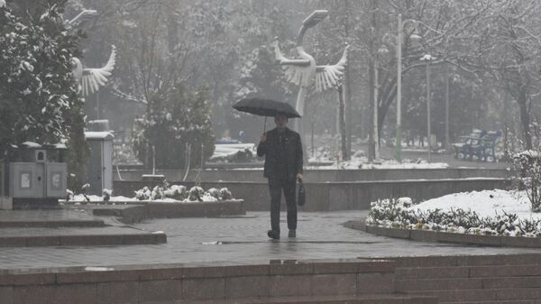 В Душанбе выпал первый снег - Sputnik Таджикистан