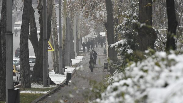 В Душанбе выпал первый снег - Sputnik Таджикистан
