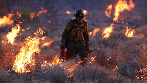 Сильный пожар в заповеднике Мохаве в Калифорнии, США, 31 июля 2023 года - Sputnik Таджикистан