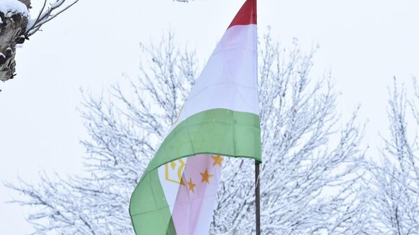 Снег в Душанбе - Sputnik Таджикистан